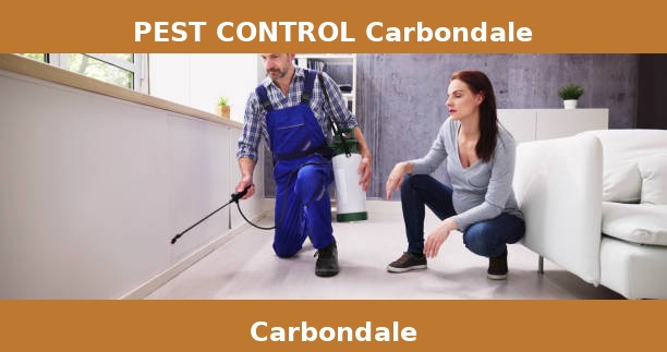 PEST CONTROL Carbondale